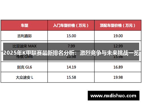 2025年K甲联赛最新排名分析：激烈竞争与未来挑战一览