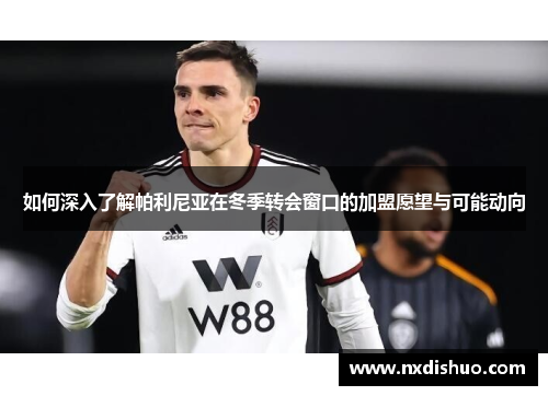 如何深入了解帕利尼亚在冬季转会窗口的加盟愿望与可能动向