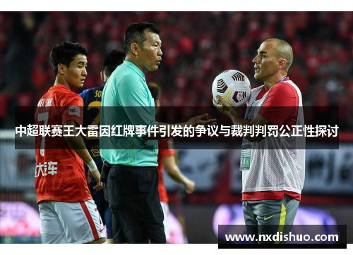 中超联赛王大雷因红牌事件引发的争议与裁判判罚公正性探讨