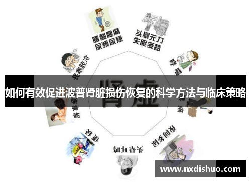 如何有效促进波普肾脏损伤恢复的科学方法与临床策略