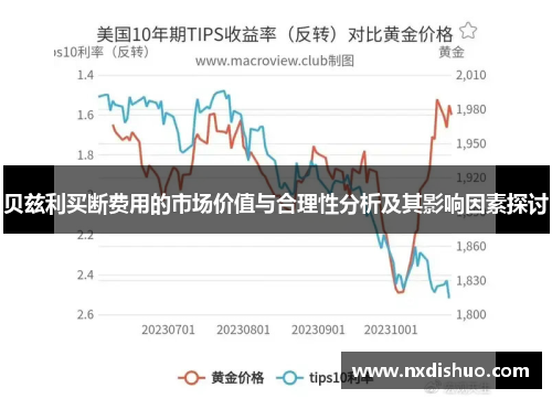 贝兹利买断费用的市场价值与合理性分析及其影响因素探讨 贝兹利买断费用的市场价值与合理性分析及其影响因素探讨