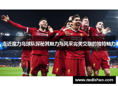 走近魔力鸟球队探秘其魅力与风采完美交融的独特魅力