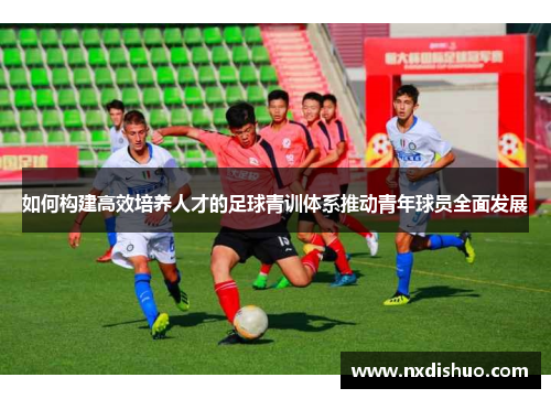 如何构建高效培养人才的足球青训体系推动青年球员全面发展