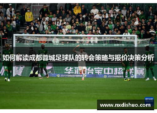 如何解读成都蓉城足球队的转会策略与报价决策分析