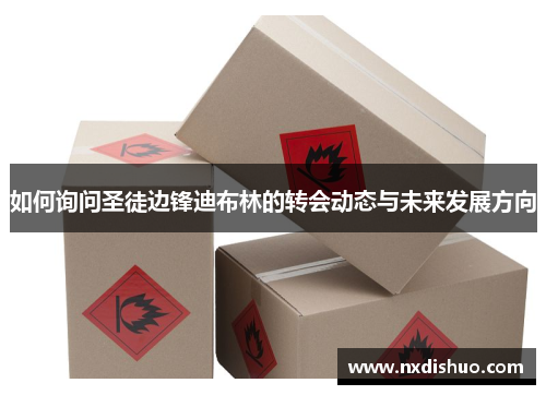 如何询问圣徒边锋迪布林的转会动态与未来发展方向