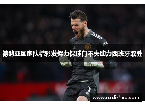 德赫亚国家队精彩发挥力保球门不失助力西班牙取胜
